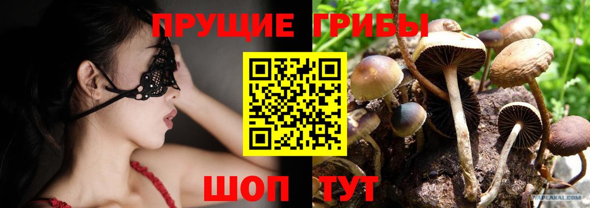 Осинники  Галлюциногенные грибы GOLDEN TEACHER  Галлюциногенные грибы Magic Shrooms  Вход с VPN 